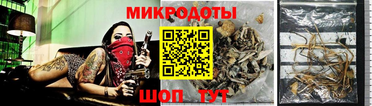 Кохма  Галлюциногенные грибы Psilocybe  Псилоцибиновые грибы мухоморы  Вход с VPN 